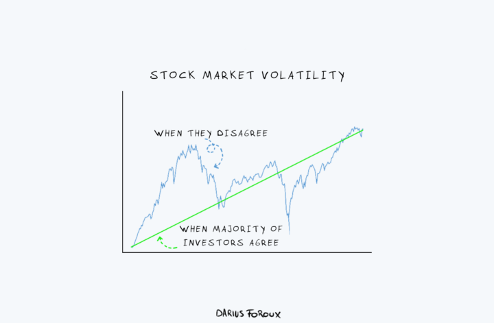 Navigating Market Volatility for long term stock investors
